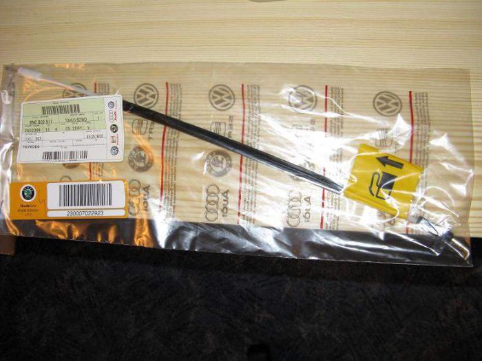 foto k příspěvku  od Hora