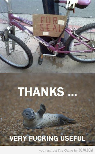 foto k příspěvku  od Kamil