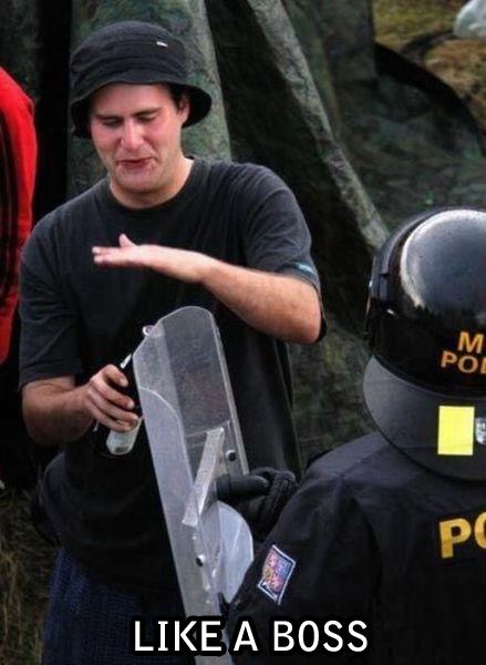 foto k příspěvku  od Link