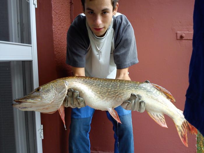 foto k příspěvku  od milanek-rs