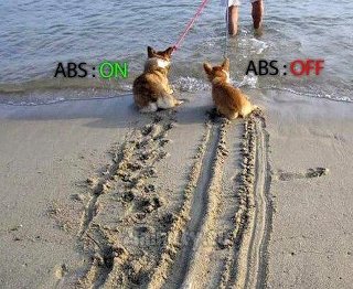 foto k příspěvku  od shamania