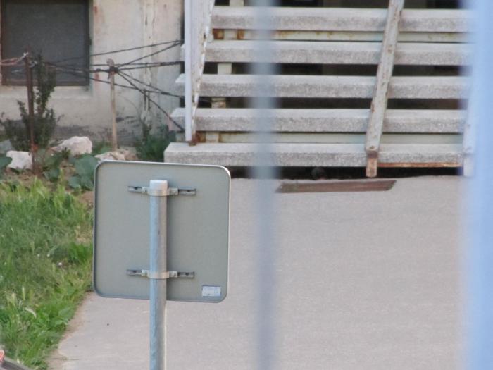 foto k příspěvku  od Collin