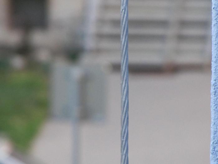 foto k příspěvku  od Collin