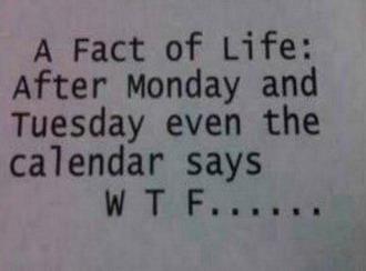 foto k příspěvku  od Lukasino