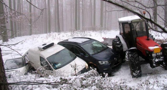 foto k příspěvku  od Sau