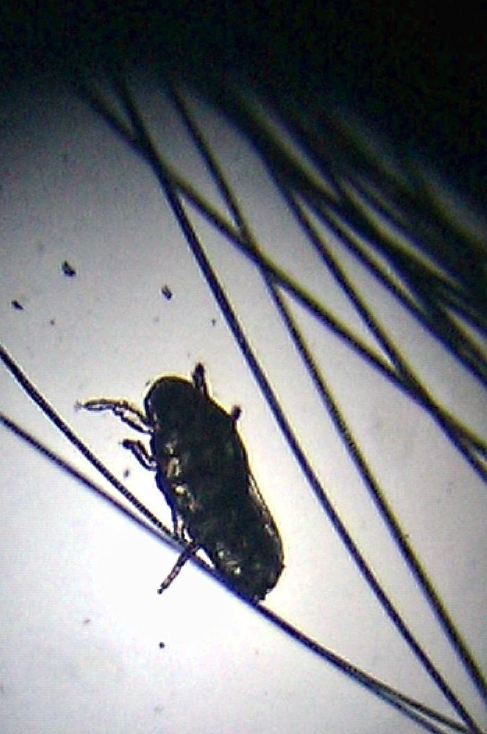 foto k příspěvku  od .mycTD