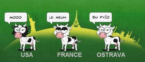 foto k příspěvku  od bublinka