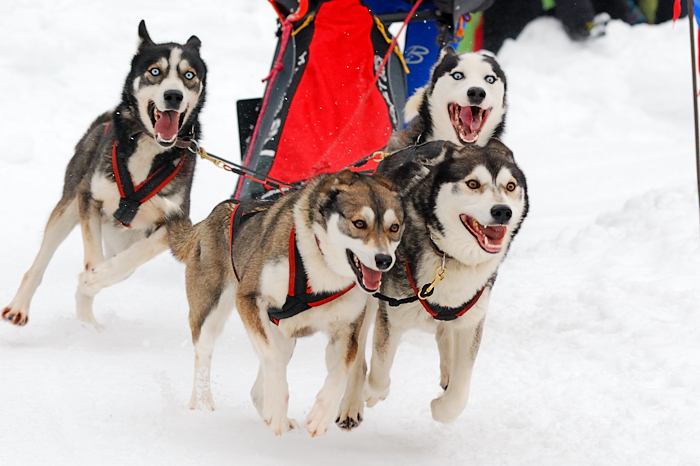 foto k příspěvku  od Proffesor_W