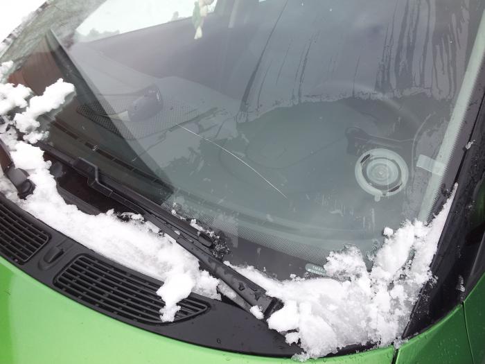 foto k příspěvku  od ronny