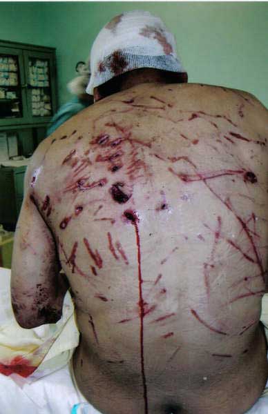 foto k příspěvku  od crestik