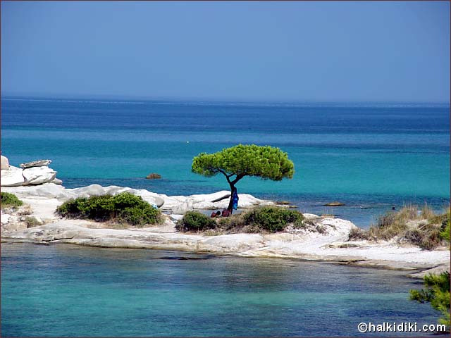 foto k příspěvku  od Crimson