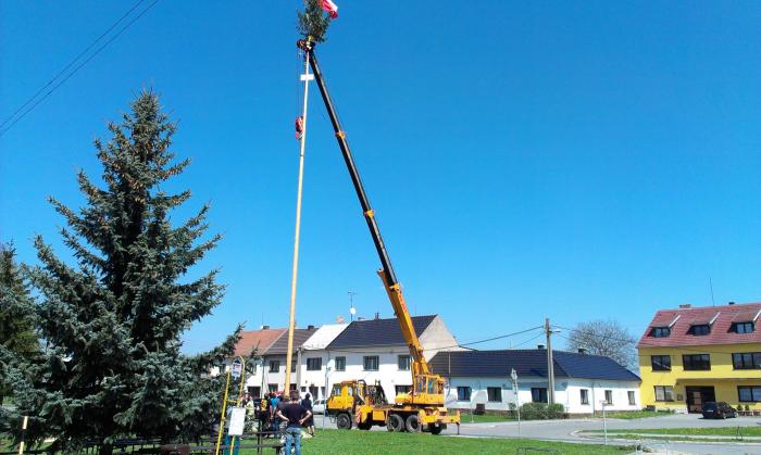 foto k příspěvku  od ivls