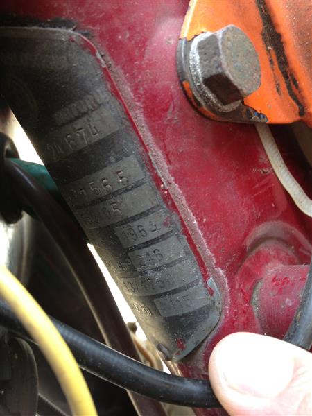 foto k příspěvku  od Mafox