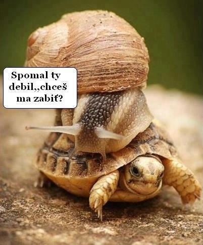 foto k příspěvku  od WiLaS