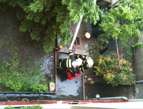 foto k příspěvku  od ricardo