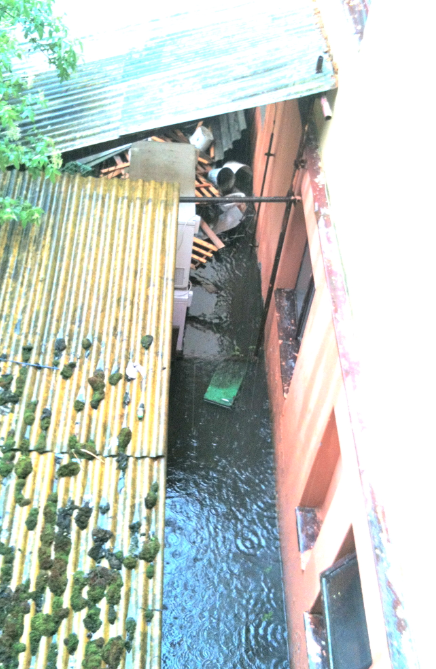 foto k příspěvku  od ricardo