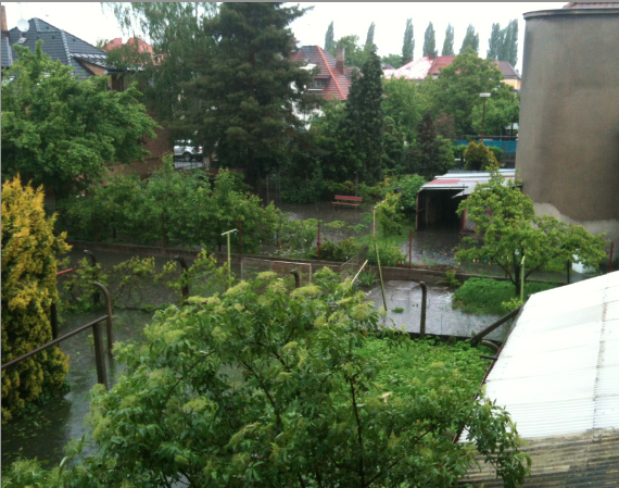 foto k příspěvku  od ricardo