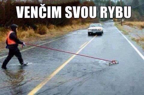 foto k příspěvku  od Jozzo