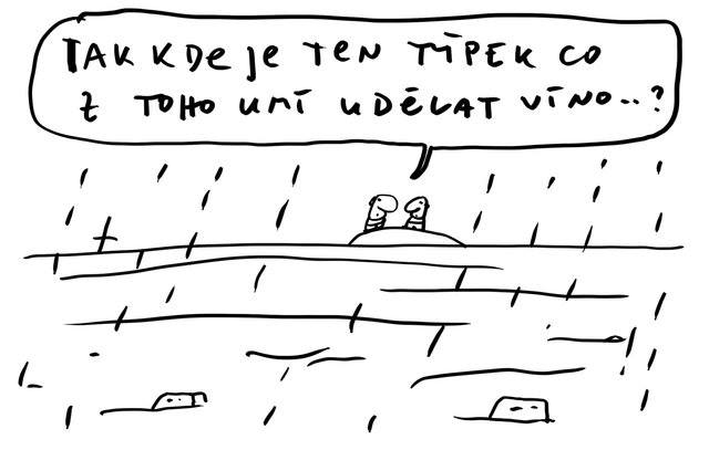 foto k příspěvku  od Sau