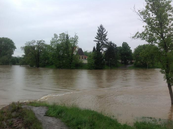 foto k příspěvku  od Mikoň