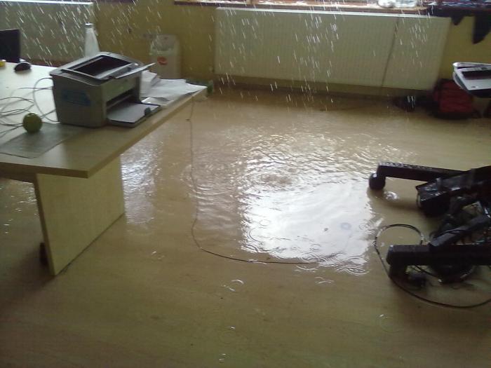 foto k příspěvku  od Zdeny60