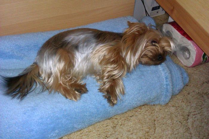 foto k příspěvku  od Unihero