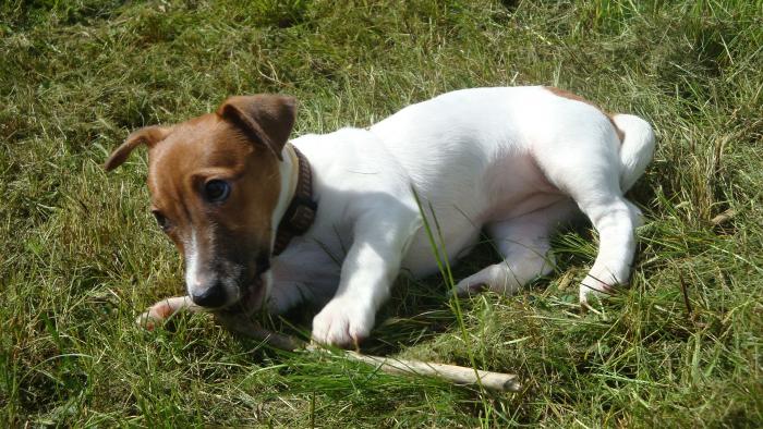 foto k příspěvku  od endru.ondra