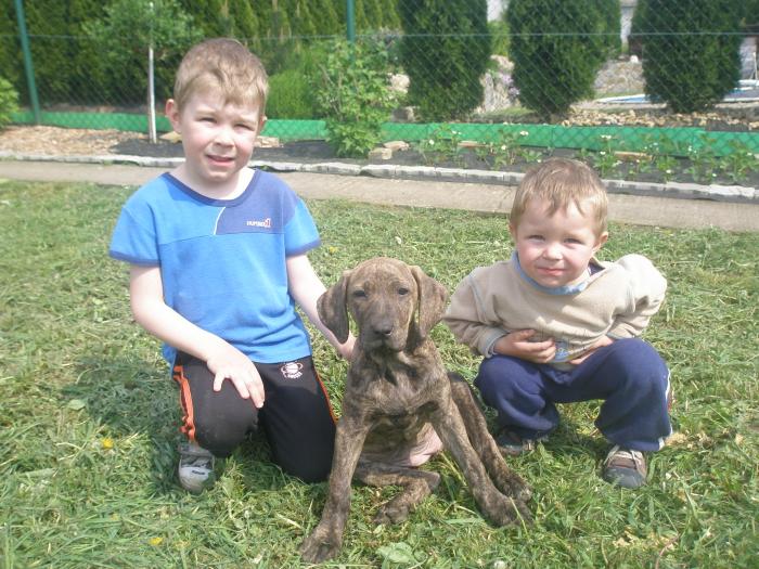 foto k příspěvku  od jura.j