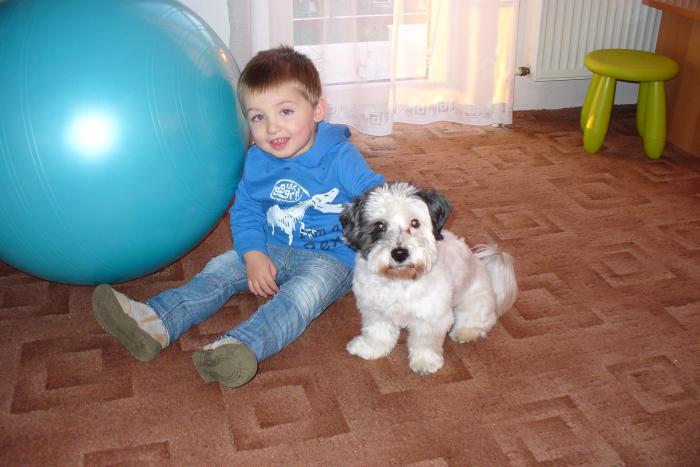 foto k příspěvku  od Kotass