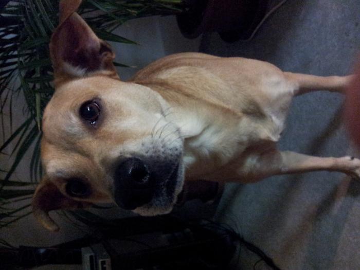 foto k příspěvku  od johnnypor