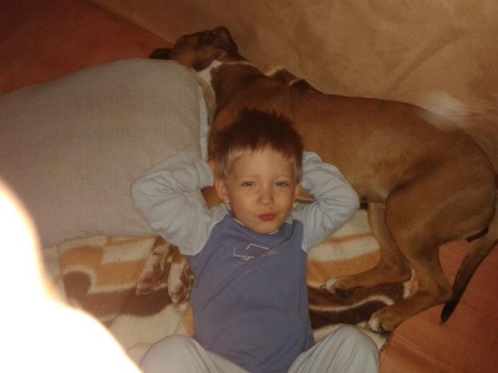 foto k příspěvku  od dolph