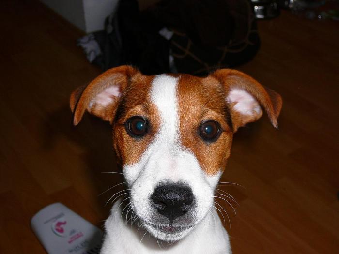 foto k příspěvku  od z0diaC