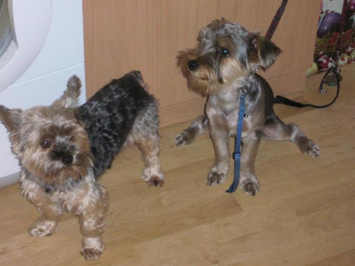 foto k příspěvku  od AR