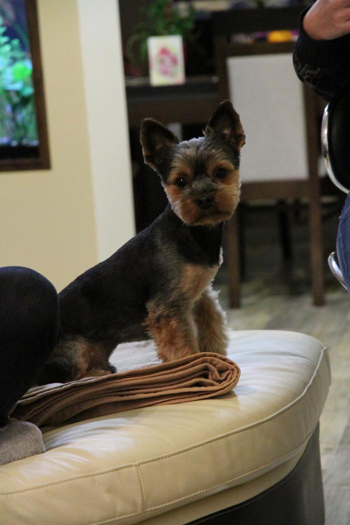 foto k příspěvku  od Barthez