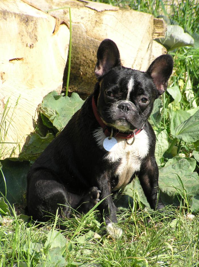 foto k příspěvku  od SEKIN