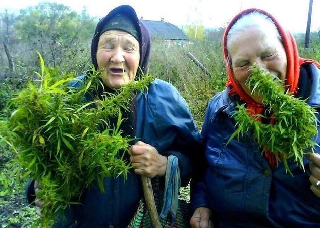 foto k příspěvku  od m