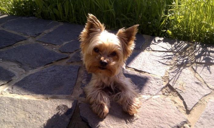 foto k příspěvku  od Kmoda