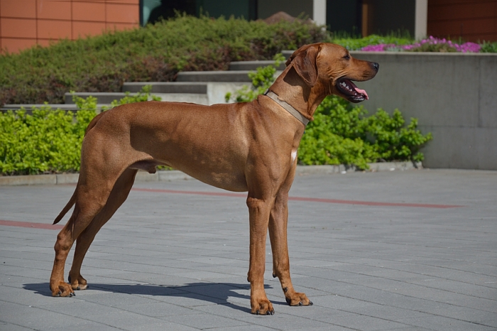 foto k příspěvku  od Proffesor_W