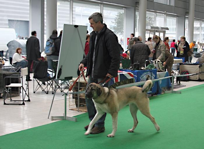 foto k příspěvku  od crestik