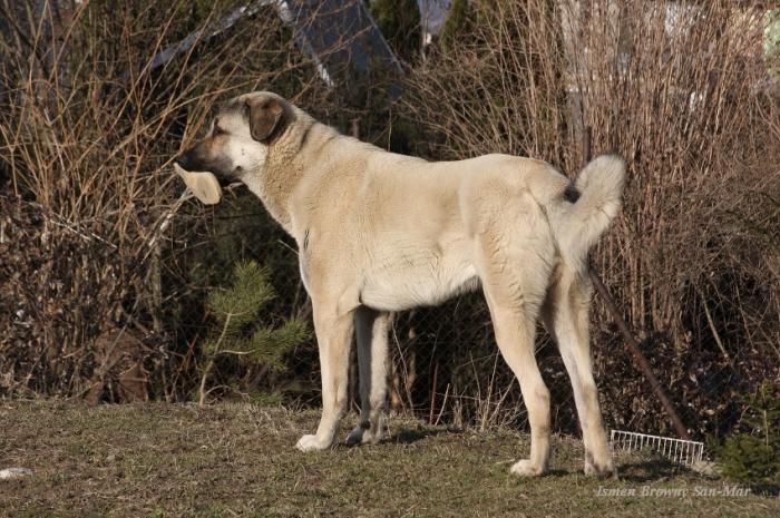 foto k příspěvku  od crestik