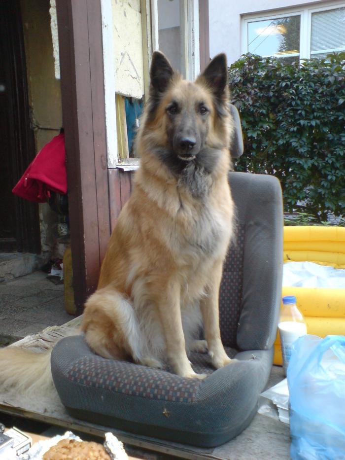 foto k příspěvku  od maresk