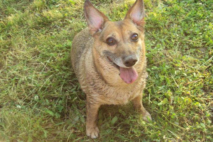 foto k příspěvku  od kozlustechnykus