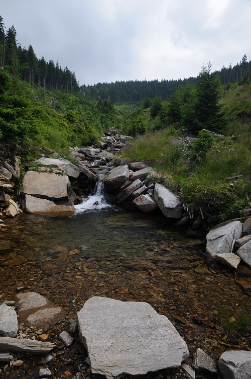 foto k příspěvku  od Zdeny60