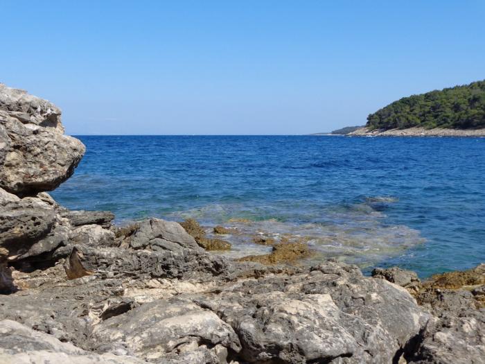 foto k příspěvku  od Šestikule