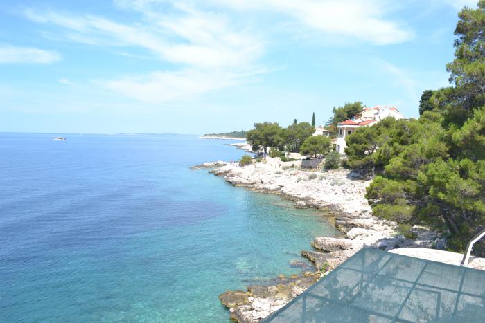 foto k příspěvku  od Mišell