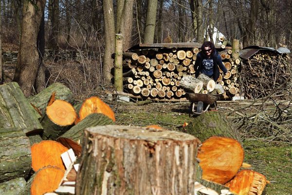 foto k příspěvku  od RedBaron