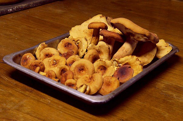 foto k příspěvku  od RedBaron