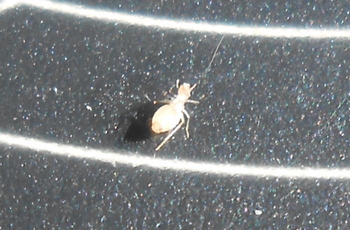 foto k příspěvku  od Pavel 528