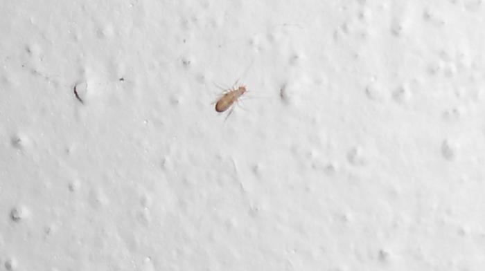 foto k příspěvku  od Pavel 528