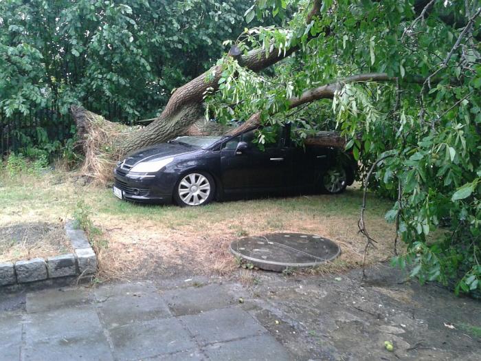 foto k příspěvku  od cupra.165